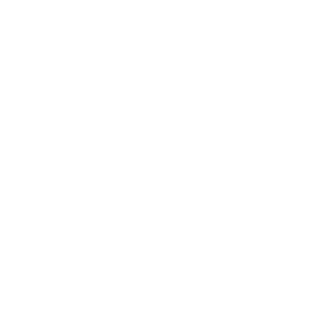 Logotipo Eprinsa monocromo